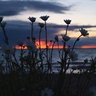 am späten Abend am Vättern / Schweden