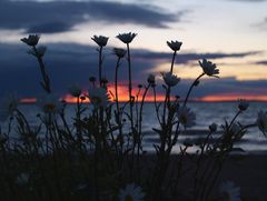 am späten Abend am Vättern / Schweden