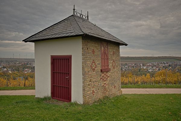 Am späten Abend in den Alzeyer Weinbergen