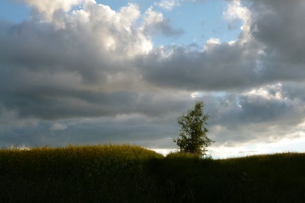 Am späten Nachmittag..