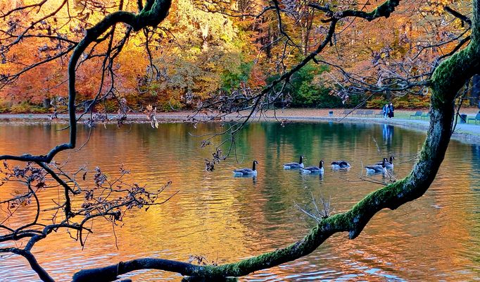 AM SPÄTEN NACHMITTAG....