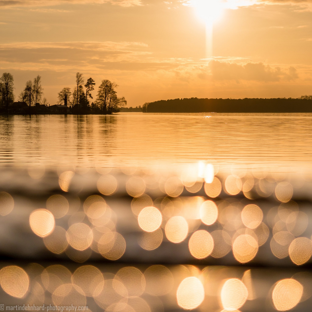 Am späten Nachmittag am Seddinsee