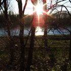 Am späten Nachmittag an der herbstlichen Donau