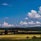 am späten Nachmittag in Vahle