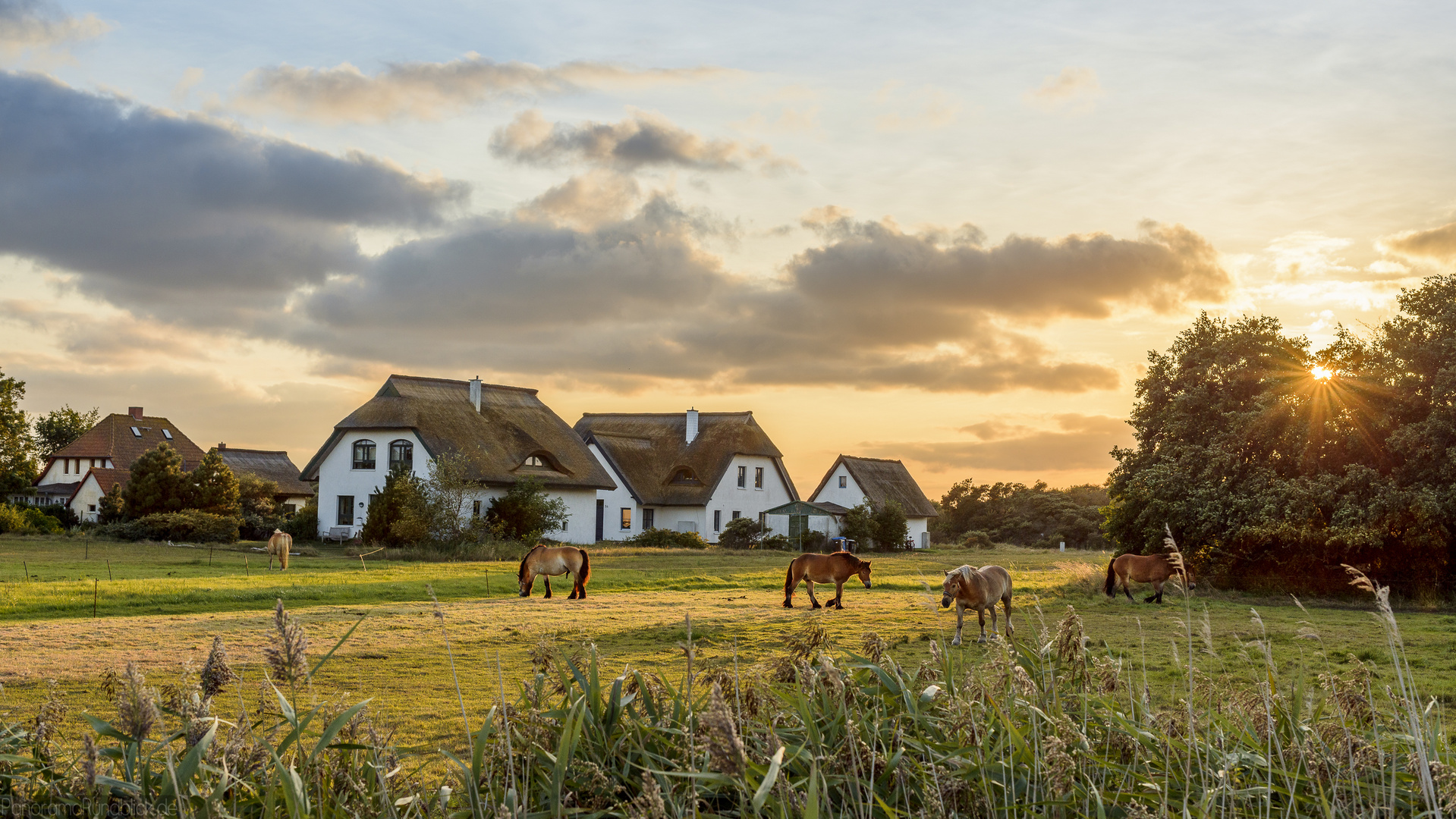 Am Spätnachmittag auf Hiddensee