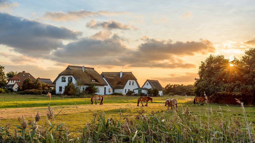 Am Spätnachmittag auf Hiddensee