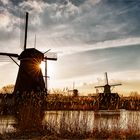 Am Spätnachmittag in Kinderdijk ...