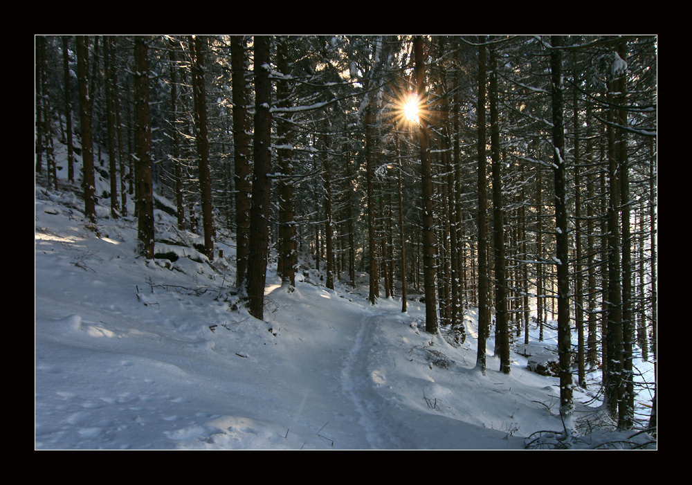 am Speckbacherweg