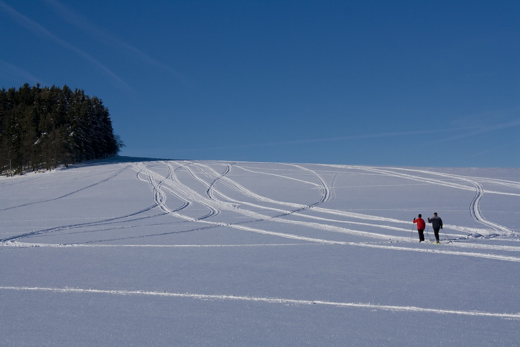 Am Spiegelberg im Erzgebirge