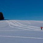 Am Spiegelberg im Erzgebirge