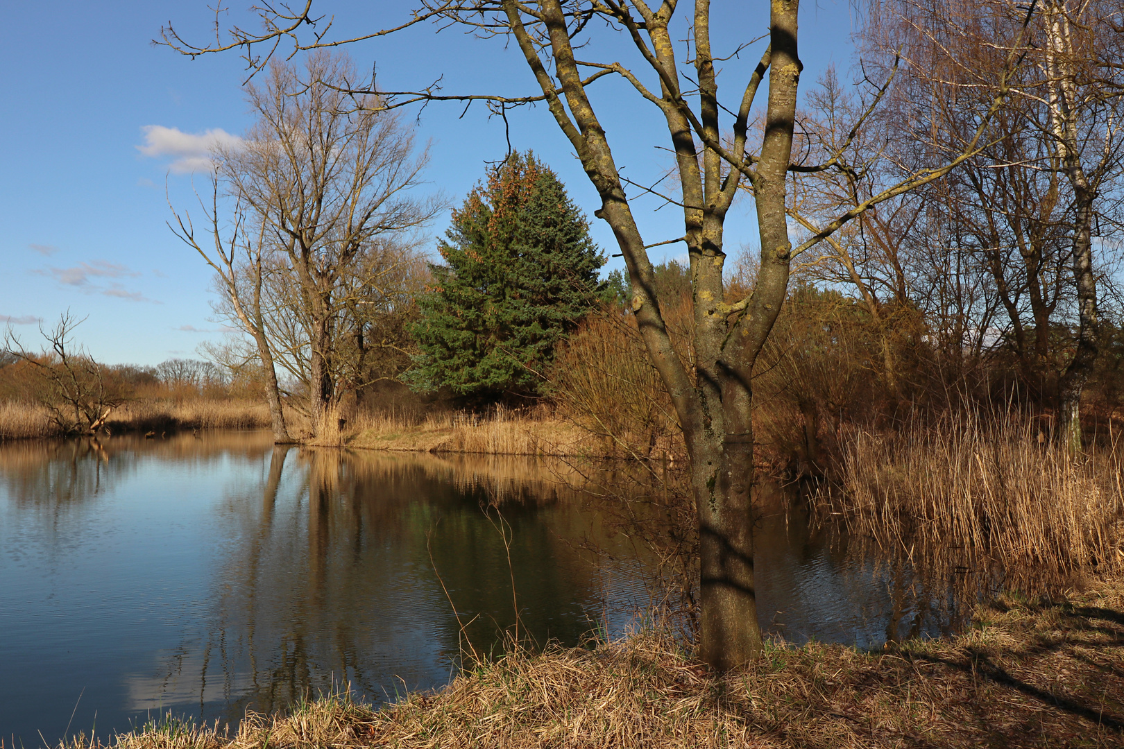 Am spiegelnden Weiher