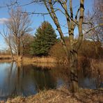 Am spiegelnden Weiher