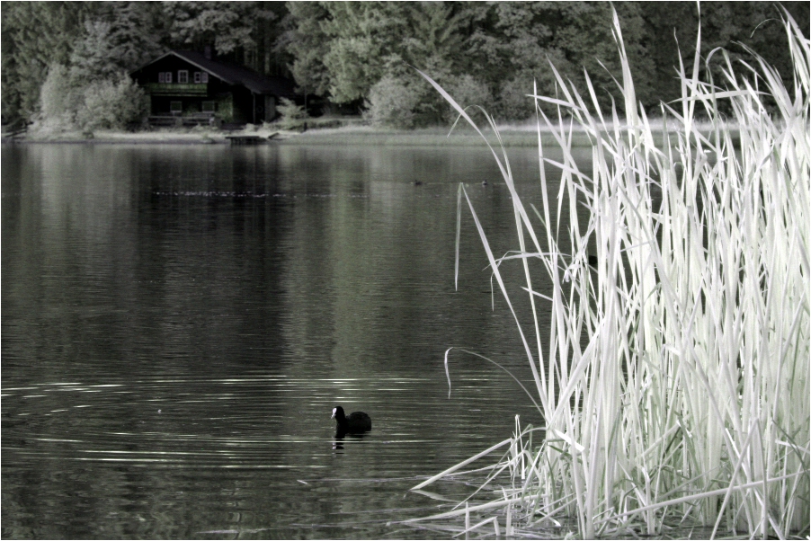 Am Spitzingsee