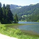 Am Spitzingsee