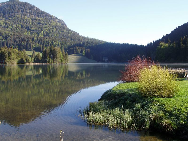 am Spitzingsee