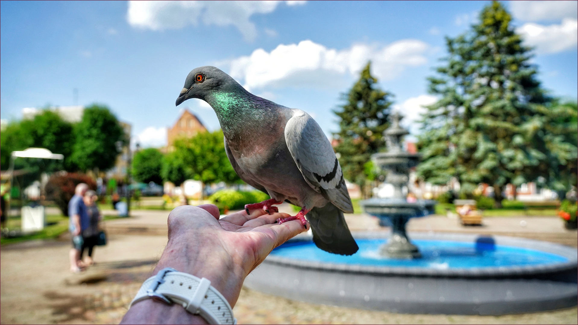 am Springbrunnen treffe ich immer ein paar Freunde ....