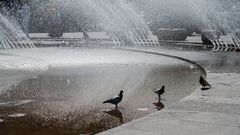 am Stachusbrunnen