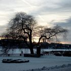 am Stadshuset in Stockholm