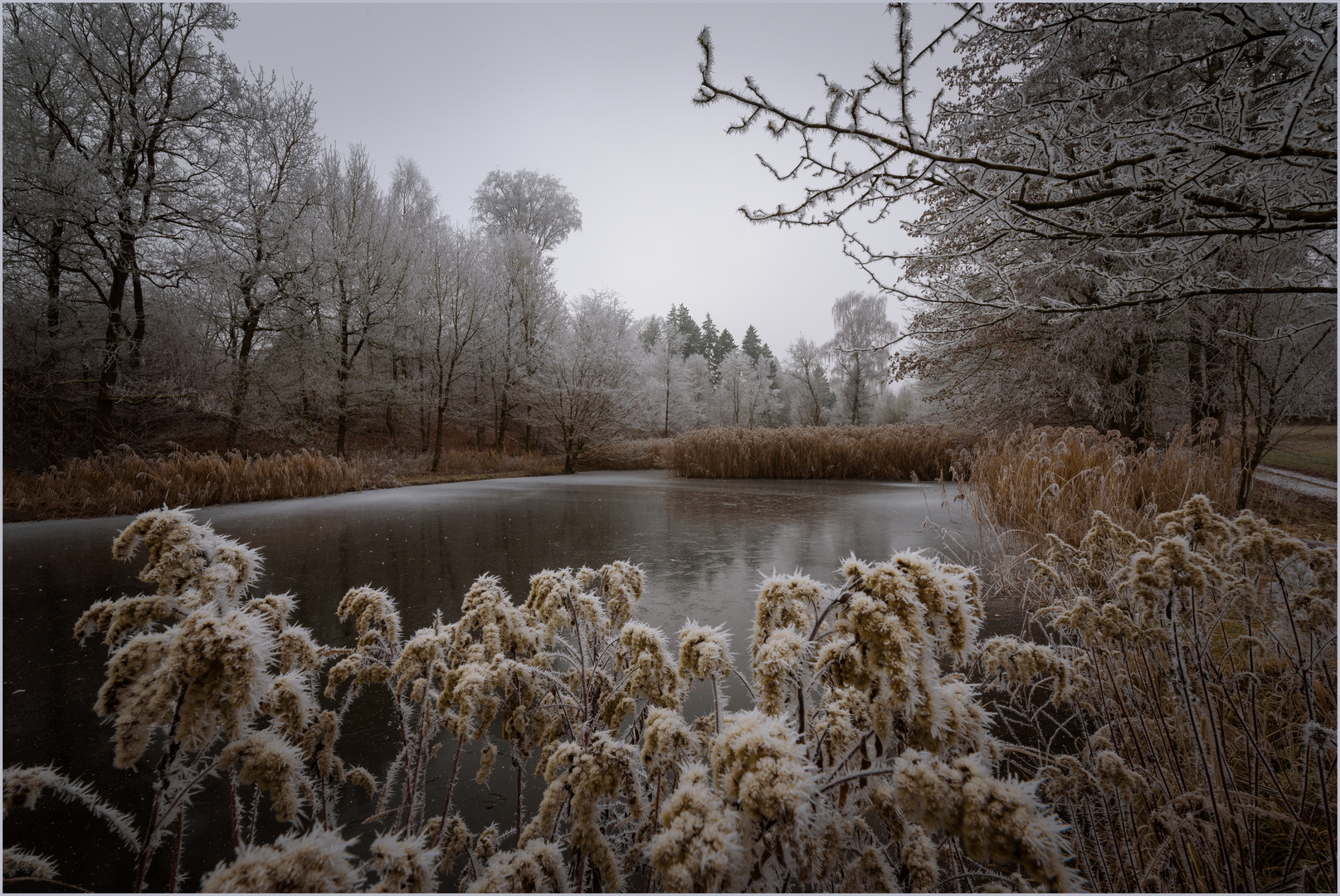 Am Stadtberger Weiher