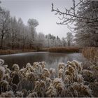 Am Stadtberger Weiher