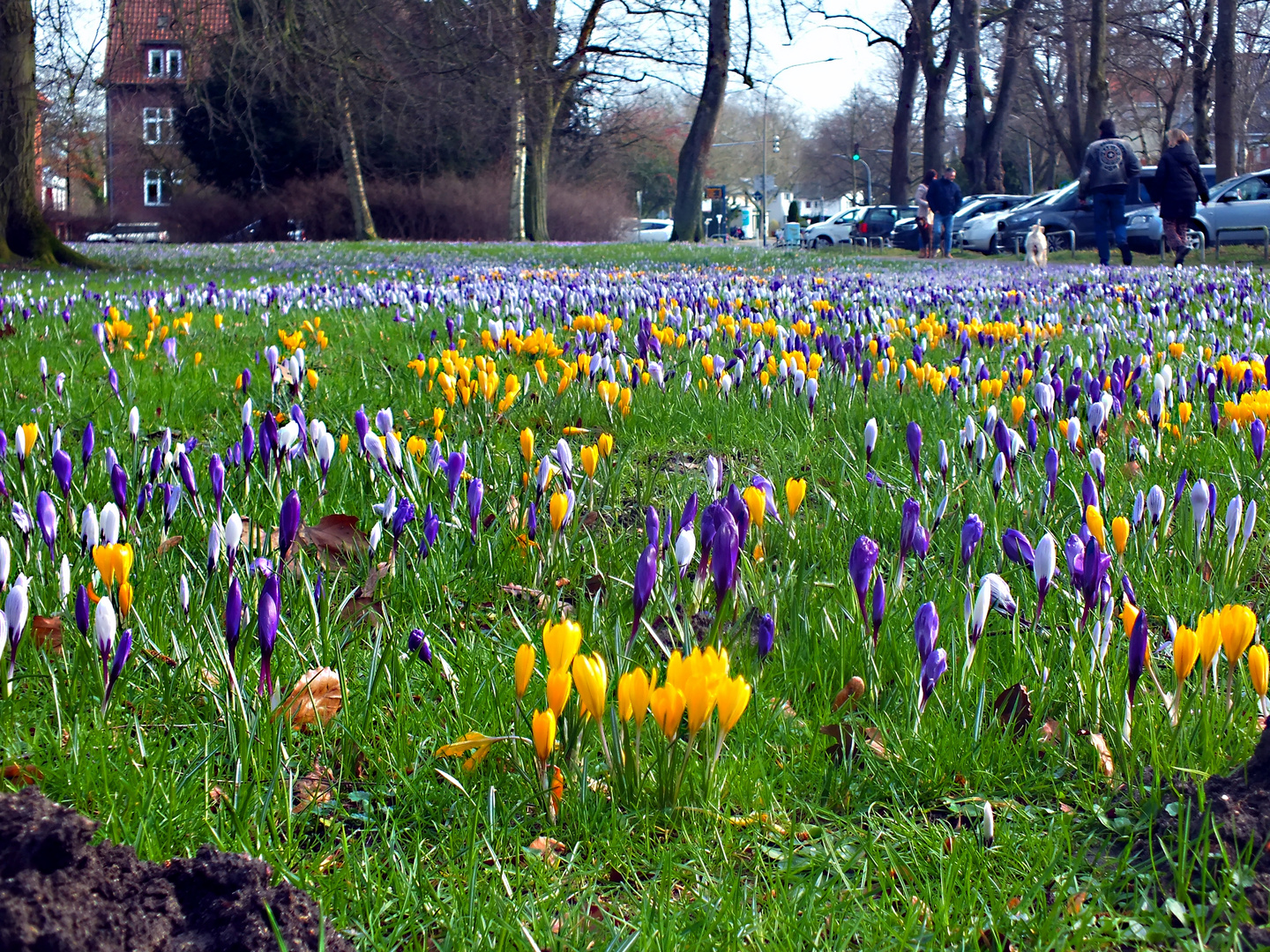 Am Stadtpark