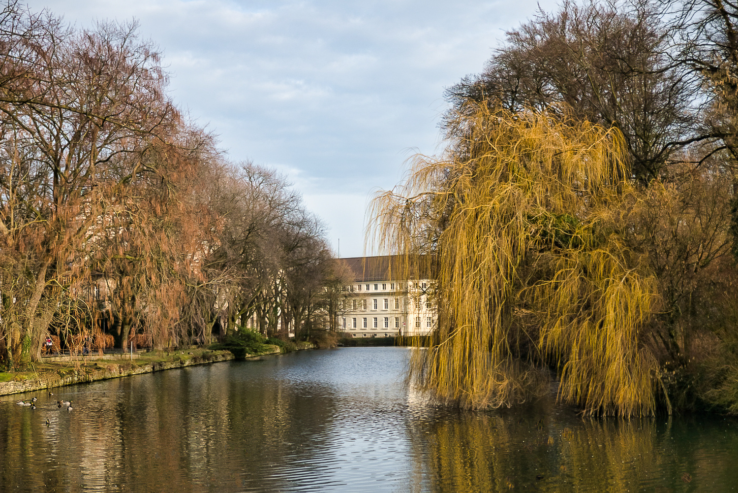 Am Stadtpark. 