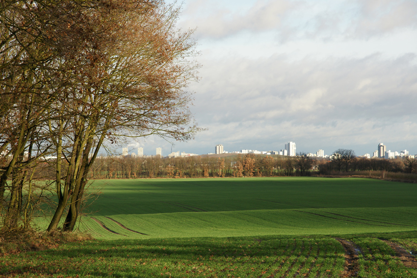 Am Stadtrand: Blick auf Buckow