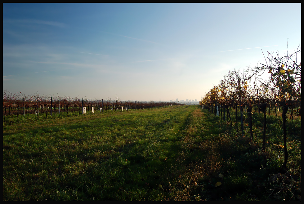 Am Stadtrand