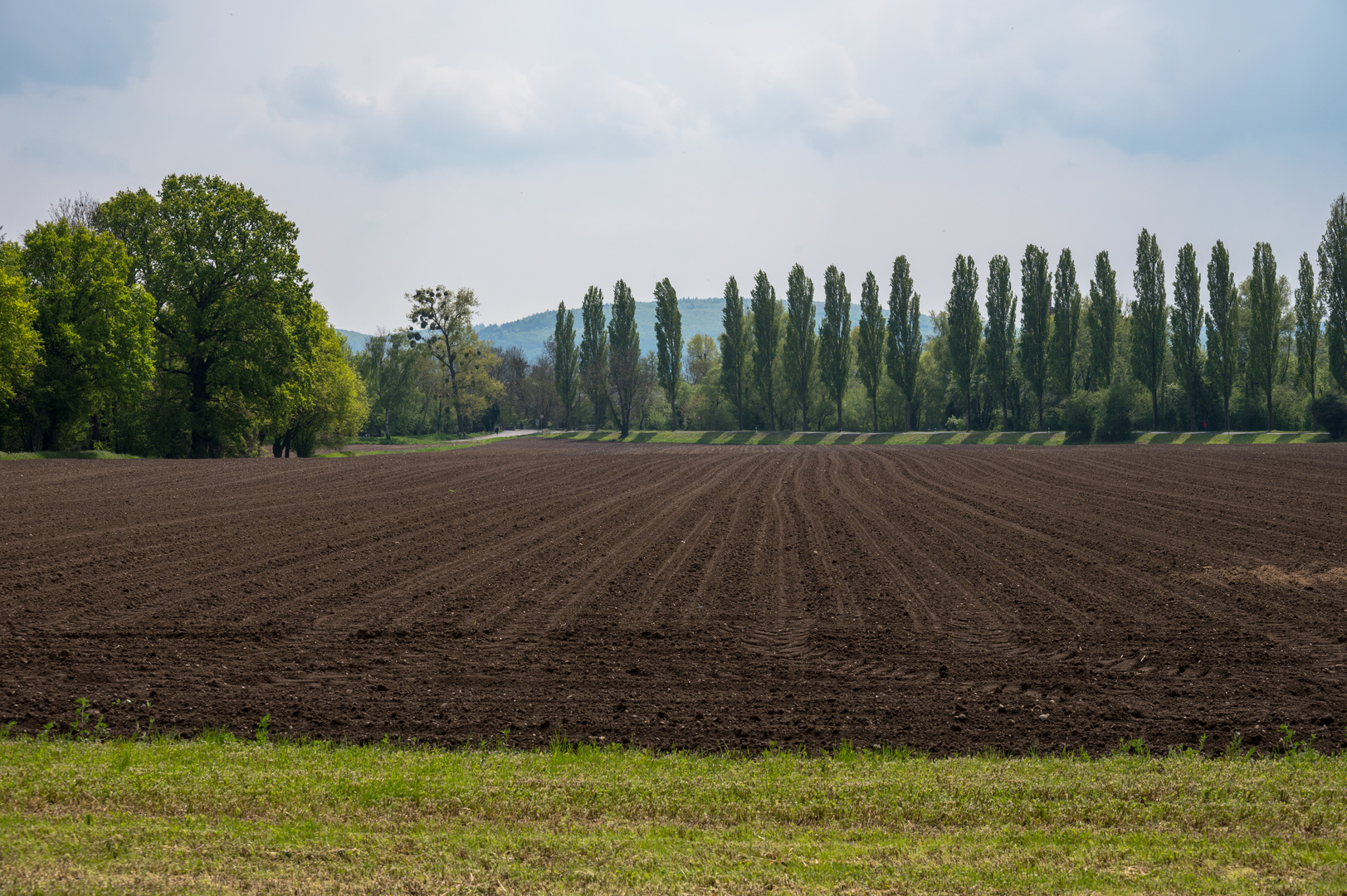 Am Stadtrand von Karlsruhe