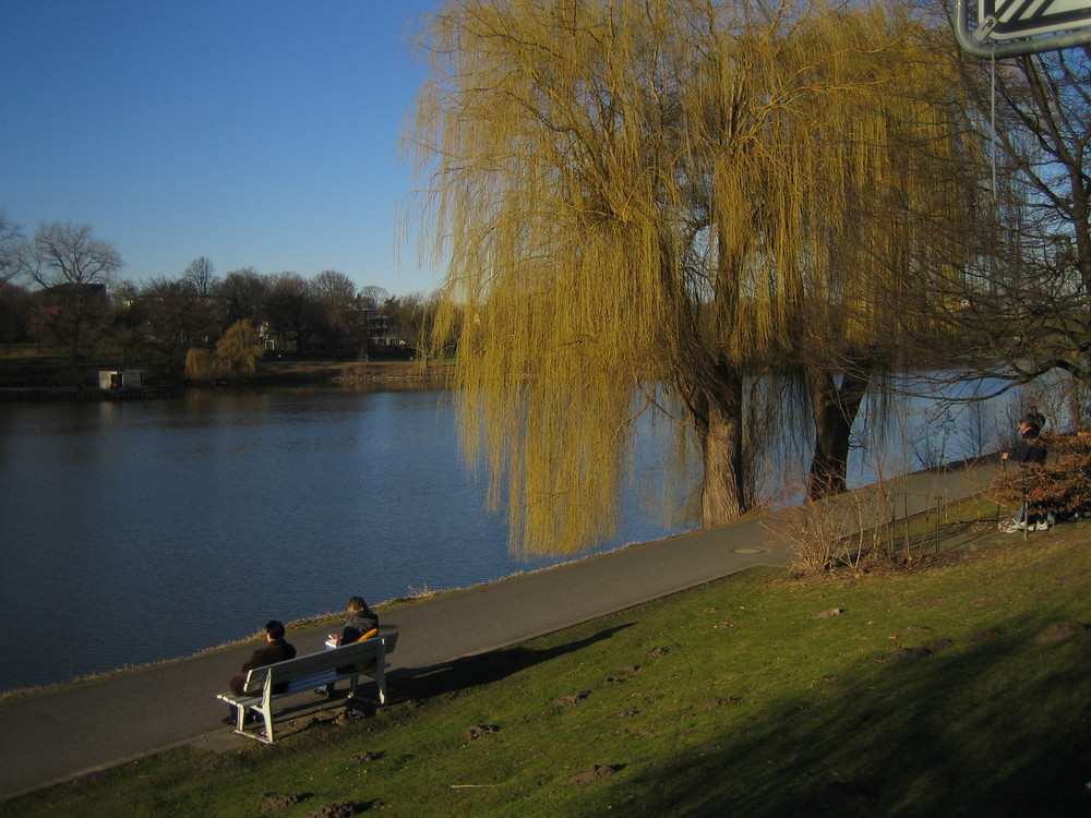 am Stadtsee