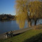 am Stadtsee