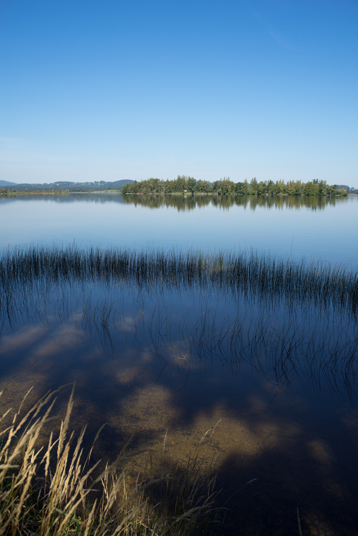 Am Staffelsee 2021