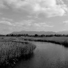 Am Staffelsee im September