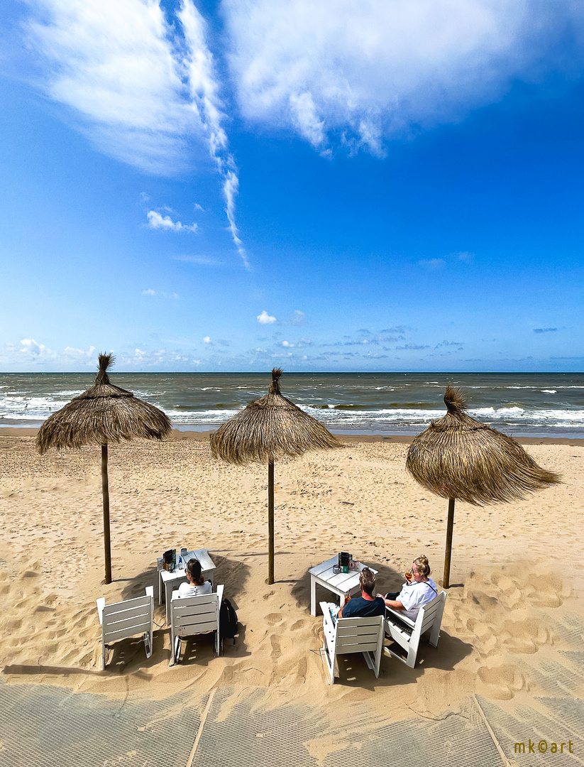 Am Stand in Egmond aan Zee (NL)