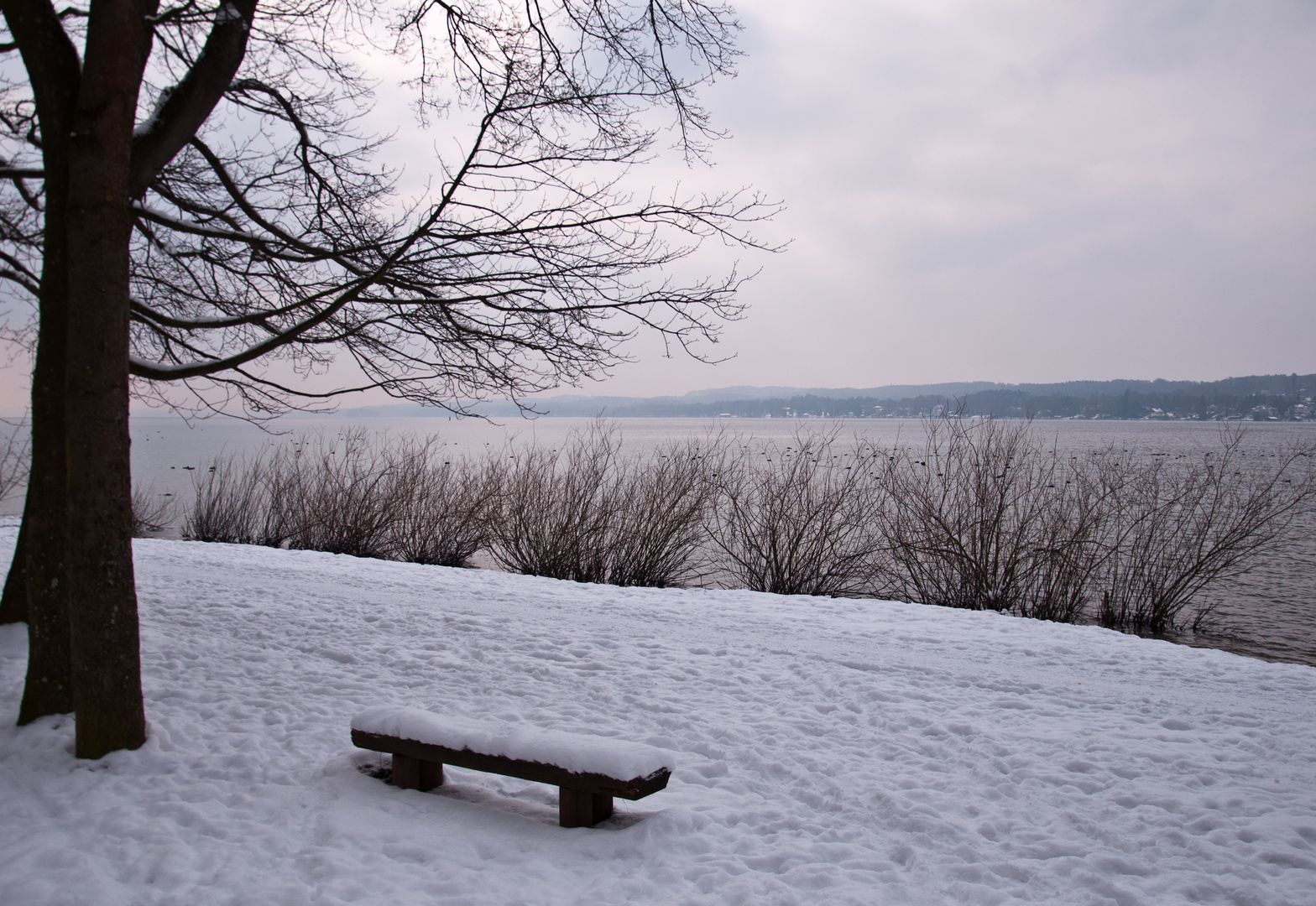 Am Starnberger See ...