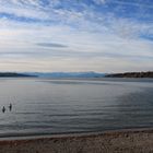 Am Starnberger See