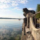 Am Starnberger See unterhalb von Allmannshausen