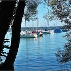 am starnberger see_2