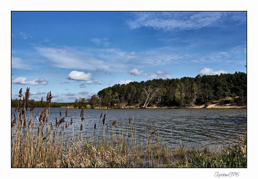 Am Stausee...   