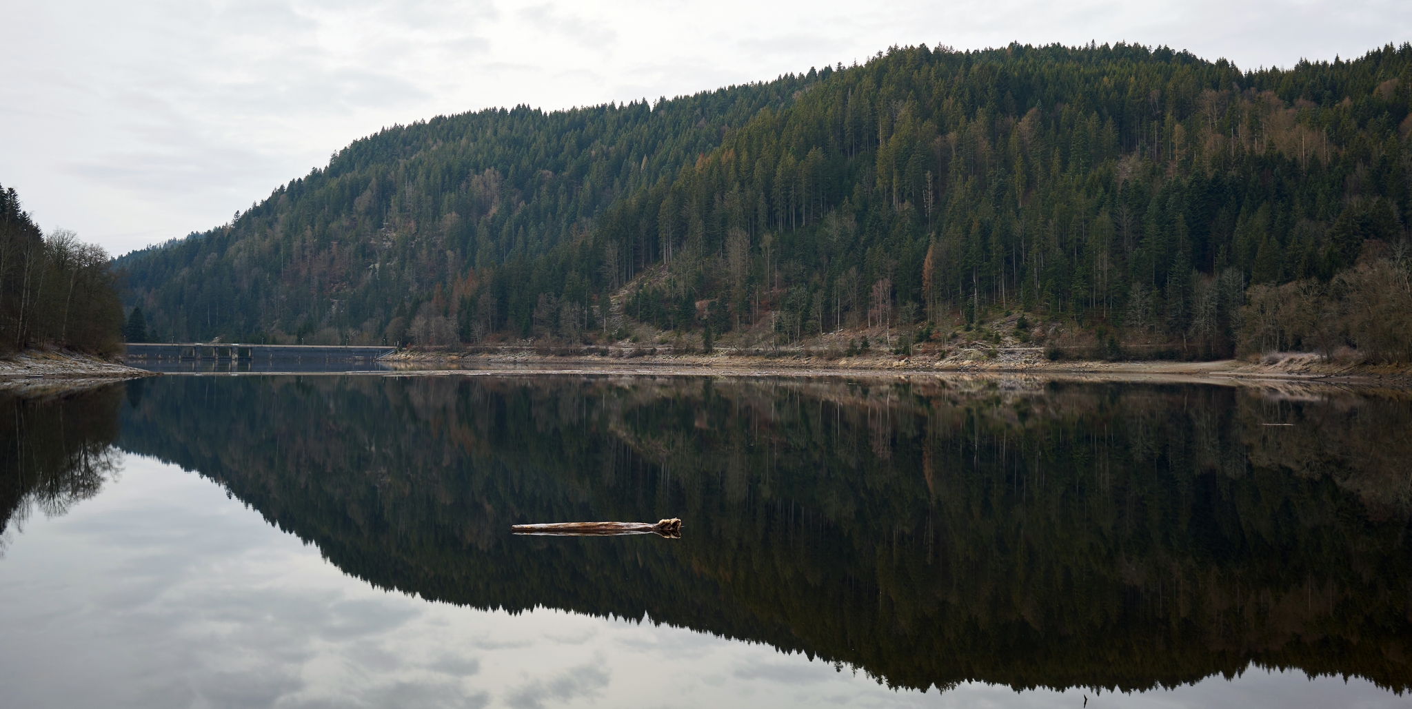 am Stausee