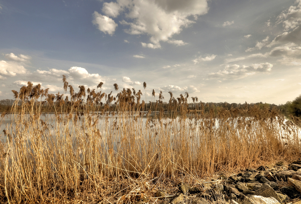 Am Stausee.........