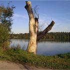 Am Stausee-Glauchau 2