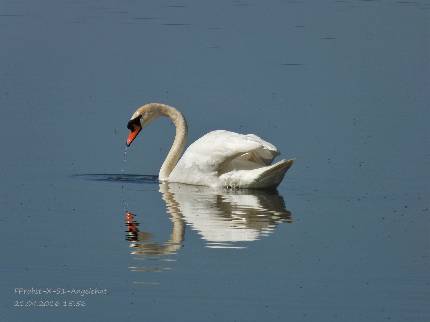 Am Stausee mit der Fujifilm.