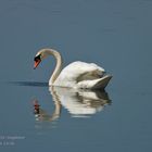 Am Stausee mit der Fujifilm.