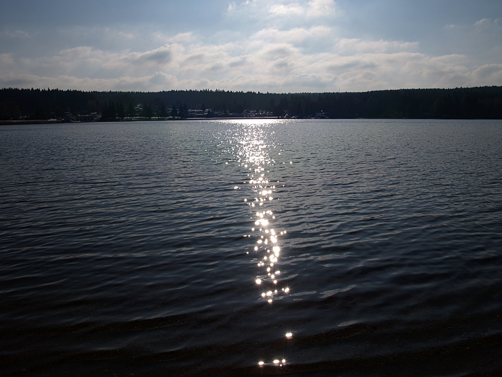 Am Stauweiher (2)