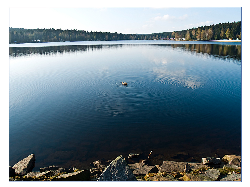 Am Stauweiher (3)