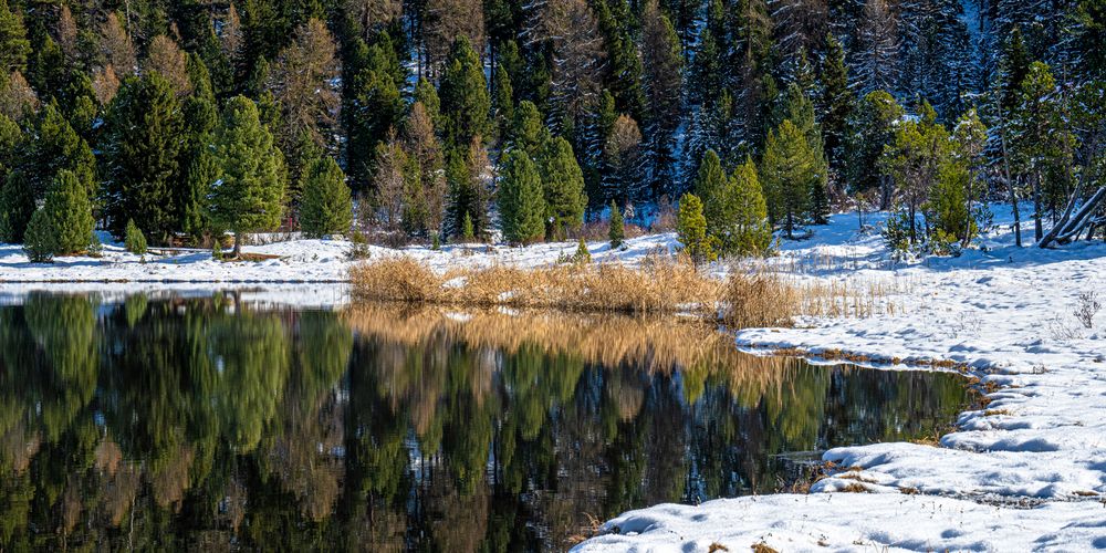 Am Stazersee (1)