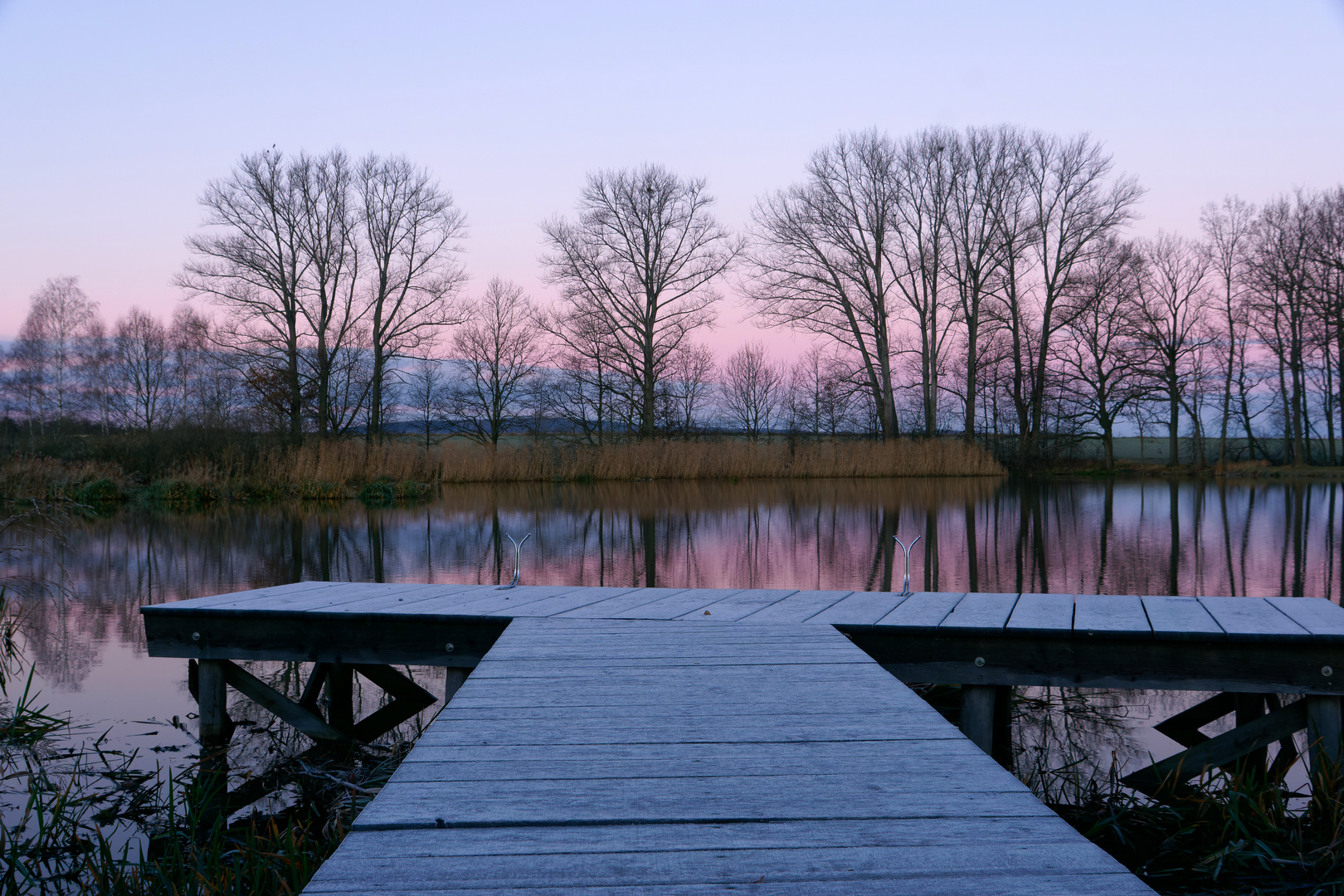 Am Steg - ein frostiger Morgen am Teich