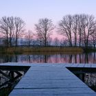 Am Steg - ein frostiger Morgen am Teich