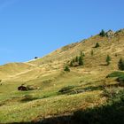 Am Steig zum Schwarzsee in Innervillgraten